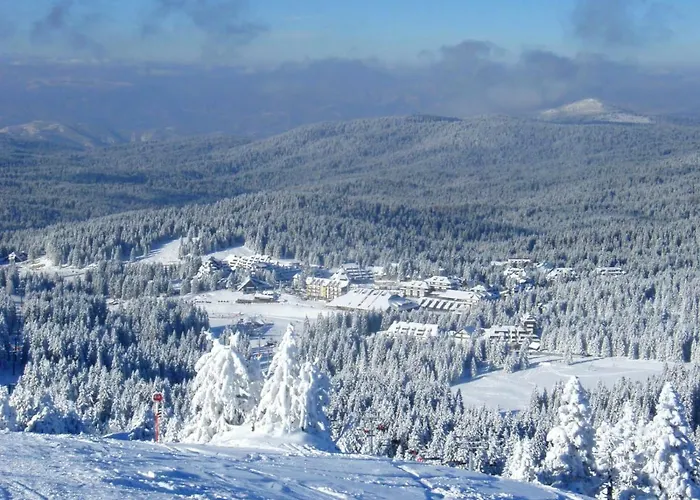 Superior Lux Διαμέρισμα *