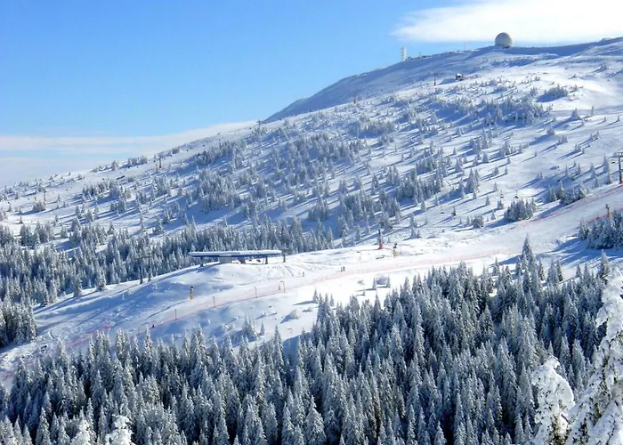 Superior Lux * Κοπαόνικ